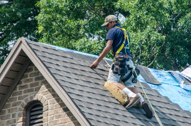 Best Roof Gutter Cleaning  in Juneau, AK